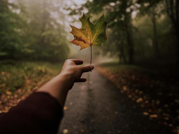Autumn is Nearly Upon Us