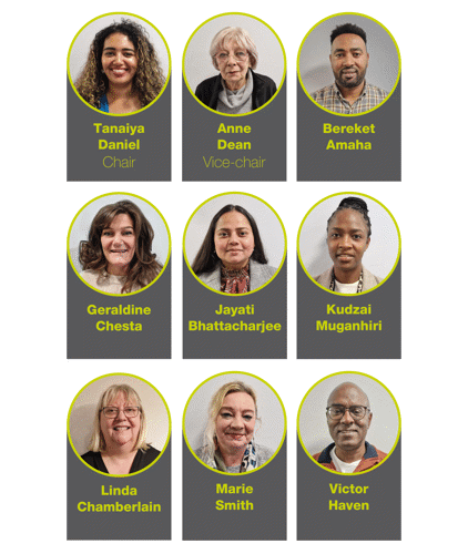 A photograph of the current members of the Housing Assurance Board